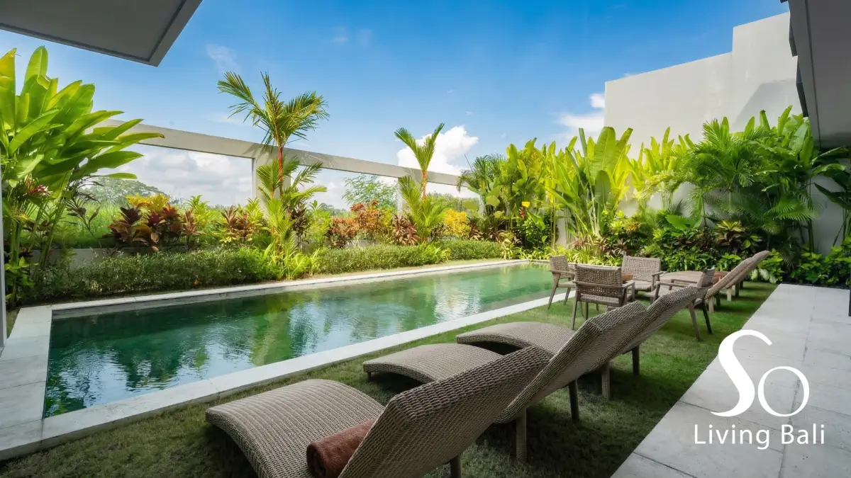 Property - property.image - Umalas · Villa 6BR · Rice Fields View - 