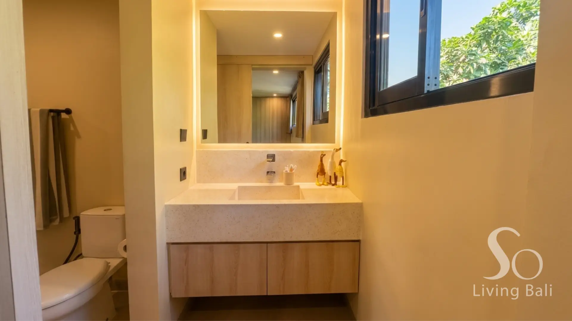 Property - IP156_ (6).png - 