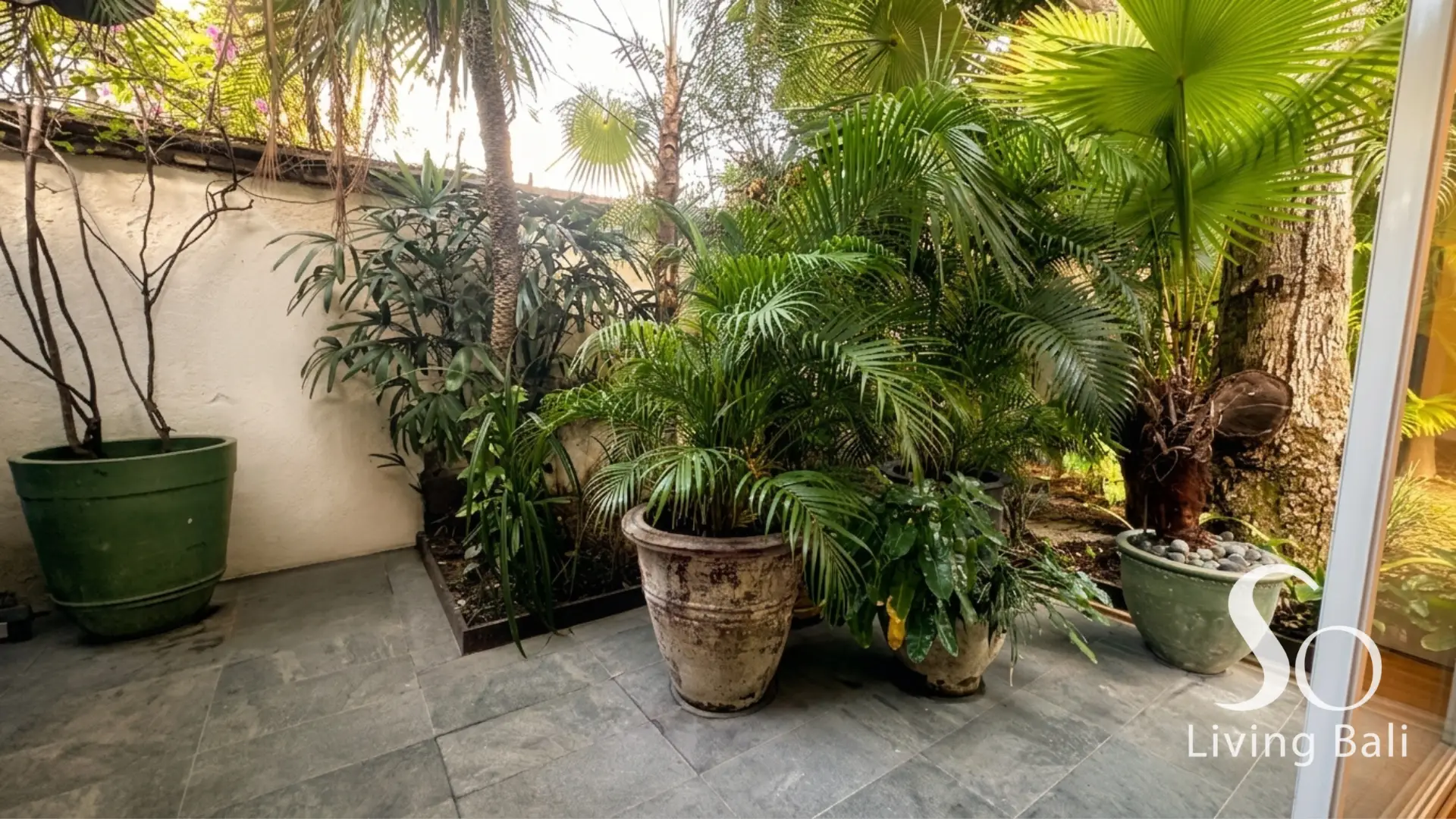 Property - SL114_ (12).png - 